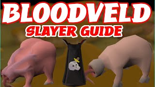 OSRS  Bloodveld  Slayer Guide  Slayer Stronghold Cave [upl. by Cailean]