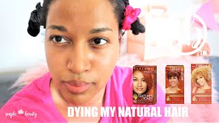 Ginger Blonde and Copper Hair Dye Crème of Nature and Clairol [upl. by Pasahow]