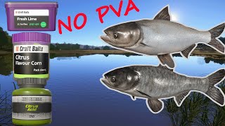 ACTIVE SPOT FOR BIGHEADSILVER CARP [upl. by Yllom]