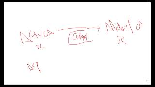 L63 FATTY ACID SYNTHESIS [upl. by Koziel165]