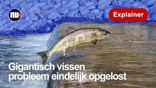 Wereldprimeur bij de Afsluitdijk  NUnl  Explainer [upl. by Vickie]