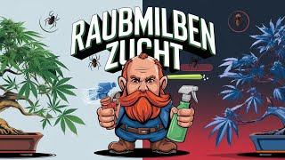 Raubmilben  Die natürlichen Jäger Zucht amp Einsatz für gesunde Pflanzen 🌿🐞 [upl. by Dawkins]