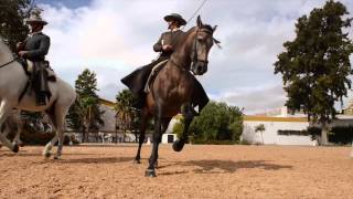 Royal Andalusian School of Equestrian Art [upl. by Tewfik]