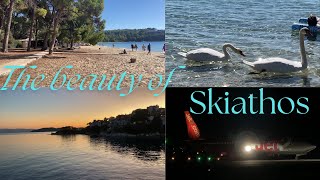 Skiathos Walkaround in October  KouKounaries beach  night plane spotting and more [upl. by Jojo]