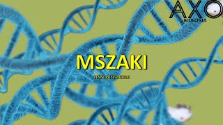 23 Mszaki [upl. by Ammadas]