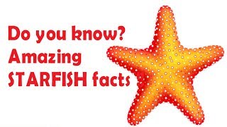 Starfish facts for kids  facts about sea star for children  Simply Elearn Kids [upl. by Sivahc451]