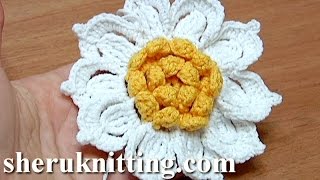 Crochet Flower with Ruffled Center and 10 Petals HowTo CROCHET FLOWER [upl. by Xylon637]