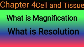 What is Magnification and resolution  Magnification and resolution  Chapter 4 cell and tissue [upl. by Ecnarretal]