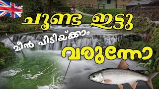 മീൻ പിടുത്തം യുകെയിൽ Fishing Uk 2024 Kilnsey Park  Skipton  Uklife  Malayalam  DampD Sam Vlogs [upl. by Poliard178]