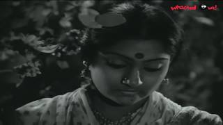 Madhavi and Chiranjeevi In Kukka Katuku Cheppu Debba Telugu Movie  Telugu Filmnagar [upl. by Eanehs]