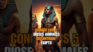 CONOCE LOS 5 DIOSES ANIMALES DEL ANTIGUO EGIPTO [upl. by Kazue589]