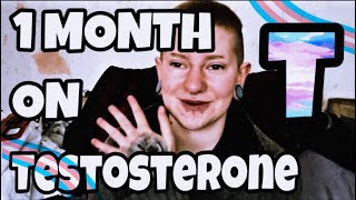 Iva 1 Month on Testosterone [upl. by Attwood]