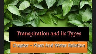 Transpiration and Types12 th Biology chapter6 Plant and water relationState BoardNEET [upl. by Aikcin]