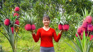 Harvesting Pineapple Fruit Go to market sell  Animal care  Phuong Daily Harvesting [upl. by Lian]