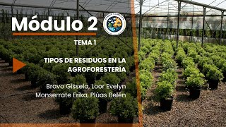 MODULO 2 TEMA 1 TIPOS DE RESIDUOS EN LA AGROFORESTERÍA [upl. by Haneehs698]