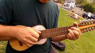 How To Play A Charango  Charango Chords amp Rhythm Lesson [upl. by Ymarej]