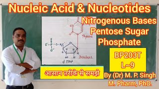 Nucleic acid amp Nucleotides  Intro Definition  DNA RNA  Biomolecule  Biochemistry  BP203T  L9 [upl. by Aryek]