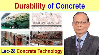 Durability of Concrete  Significance of Durability  Role of Water – Cement Ratio on Durability [upl. by Ellehsor]