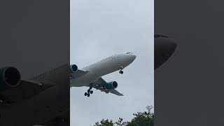 Aer Lingus A330 Landing at LAX shorts [upl. by Nnyllatsyrc539]