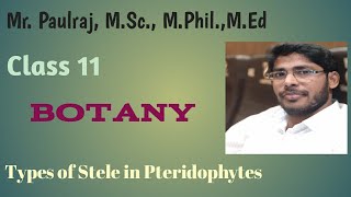 11Std Types of stele in Pteridophytes1Protostele amp Siphonostele [upl. by Nnyla173]