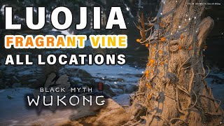 All Luojia Fragrant Vine Locations Guide ► Black Myth Wukong [upl. by Lumpkin]