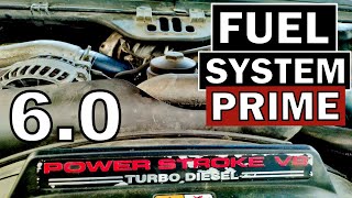 HOW TO PRIME 60 POWERSTROKE FUEL SYSTEM amp BLEED OUT ANY AIR  EASY [upl. by Pam]