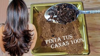 PINTA TU CABELLO SIN QUÍMICOS DE MARRÓN Y ELIMINA TUS CANAS 100🤎 [upl. by Lehctim]