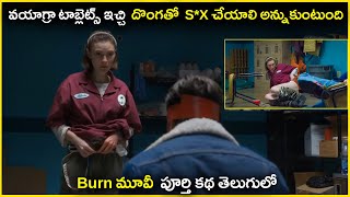 Burn2019  English movie explained in Telugu  Burn movie Explained in telugu  Telugu Movies [upl. by Suirtimed]