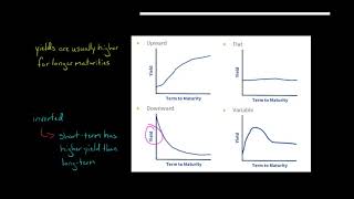 Shape of the Yield Curve [upl. by Artinad]