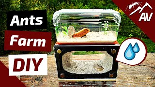 ANT WATER TOWER  How to make an Ant farm DIY Water Tank [upl. by Kinson]