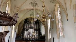 Piano Man by Organ  Van Oeckelen Orgel Sint Hippolytuskerk Middelstum [upl. by Mloc543]