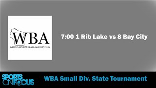 Day 1  WBA Small Division State Tournament [upl. by Anert]