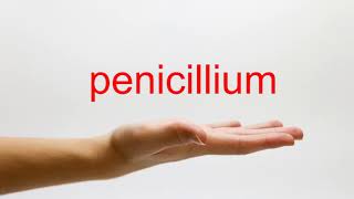 How to Pronounce penicillium  American English [upl. by Anayra]