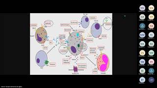 Recent Advances in Treatment of Angioedema by Ass Prof Dr Manar Farouk [upl. by Melodie]