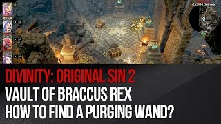 Divinity Original Sin 2  Vault of Braccus Rex [upl. by Mathew]