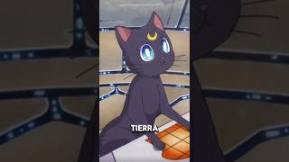 Luna 🌙 en Sailor Moon sailormoon 🐈‍⬛ [upl. by Sluiter]