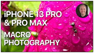 Macro Photography with the iPhone 13 Pro and iPhone 13 Pro Max [upl. by Sioled492]