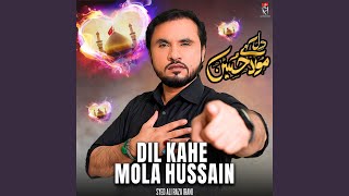 Dil Kahe Mola Hussain [upl. by Lewie]