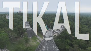 Tikal Stunning Mayan city in the jungle in Guatemala [upl. by Dnalra]