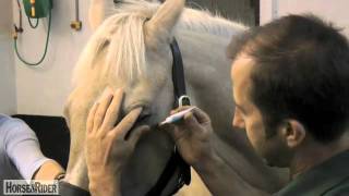 How to Administer Eye DropsCream  HorseandRider UK [upl. by Cressy]