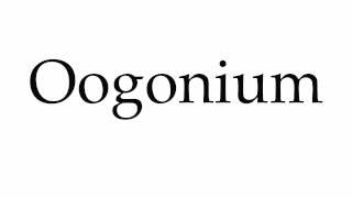 How to Pronounce Oogonium [upl. by Ondine]