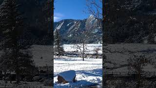 Chautauqua Park and the Flatirons in Boulder Colorado on Thanksgiving Day 2024 [upl. by At]