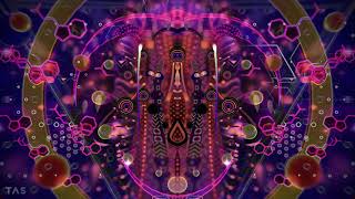 Spinal Fusion amp Killerwatts  Hilltopia  Psychedelic Visuals by TAS Visuals [upl. by Bedwell]