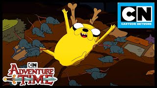 Huge Adventure Time Compilation  Full Season 1  Adventure Time  Cartoon Network [upl. by Ferguson]