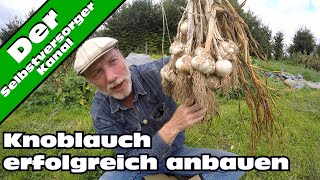 Knoblauch erfolgreich anbauen So mache ich es [upl. by Ebony750]