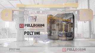 PolyONE [upl. by Boorman116]