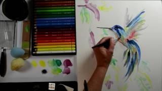 Malen mit Aquarellstiften Kolibri  Mein KreativAtelier Nr 89  Begleitvideo [upl. by Epifano319]