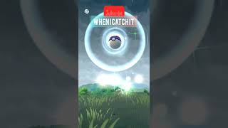 Catching Clamperl pokemongopokemongo [upl. by Eilrac]