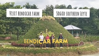 Bendicar FarmAgricultural Tourism [upl. by Orfinger]