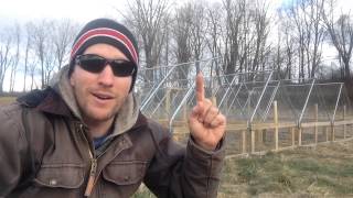 Storing chicken tractors over winter [upl. by Siderf]